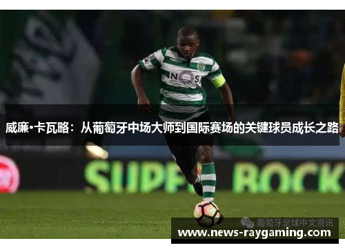 威廉·卡瓦略：从葡萄牙中场大师到国际赛场的关键球员成长之路