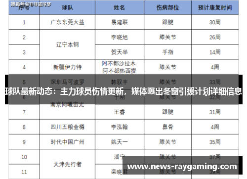 球队最新动态：主力球员伤情更新，媒体曝出冬窗引援计划详细信息
