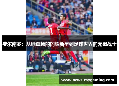 费尔南多：从绿茵场的闪耀新星到足球世界的无畏战士