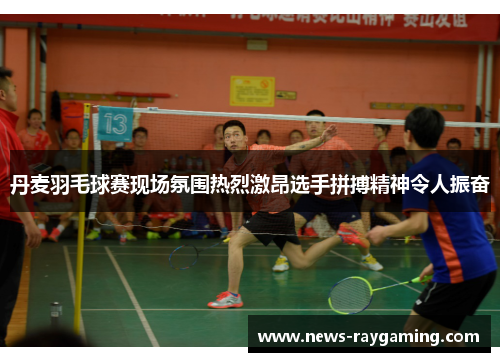 丹麦羽毛球赛现场氛围热烈激昂选手拼搏精神令人振奋