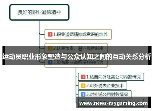 运动员职业形象塑造与公众认知之间的互动关系分析