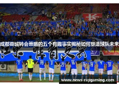 成都蓉城转会策略的五个有趣事实揭秘如何塑造球队未来