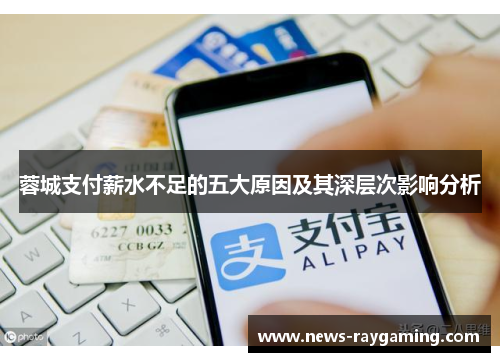 蓉城支付薪水不足的五大原因及其深层次影响分析